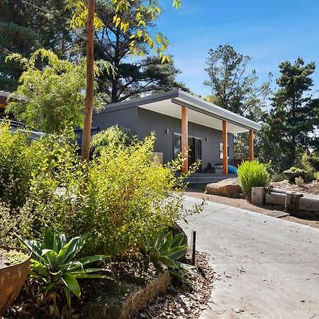 Bells Beach Escape Secluded Eco Bush Sanctuary Bellbrae Exterior photo