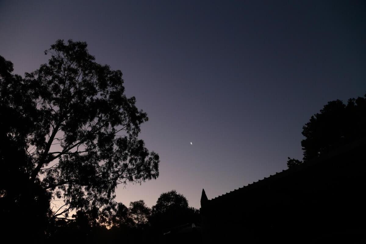 Bells Beach Escape Secluded Eco Bush Sanctuary Bellbrae Exterior photo