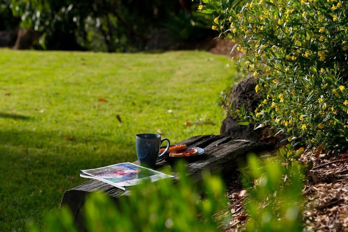 Bells Beach Escape Secluded Eco Bush Sanctuary Bellbrae Exterior photo