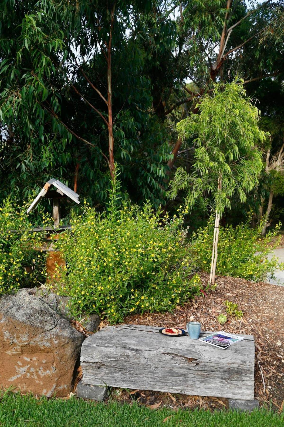 Bells Beach Escape Secluded Eco Bush Sanctuary Bellbrae Exterior photo